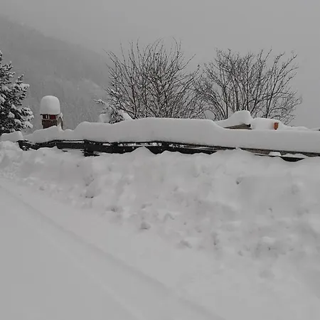 Haus Mauken - Urlaub Für Mensch Und Hund Murau