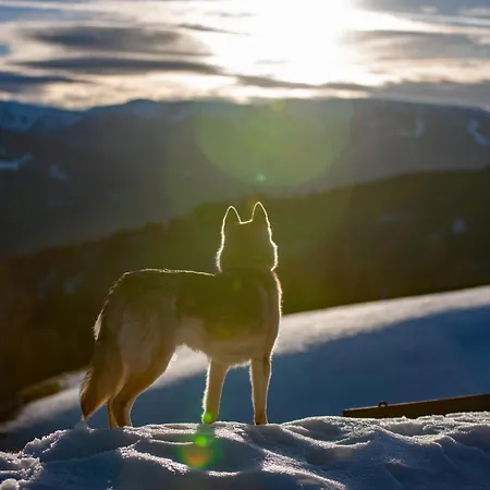 Haus Mauken - Appartments Mit Panoramablick شقة