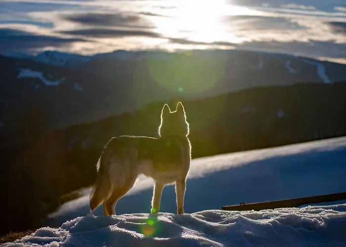 Haus Mauken - Appartments Mit Panoramablick Appartement